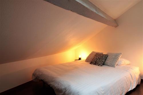 Annecy Old Town Apartment | Grenier du Lac 100 m du lac