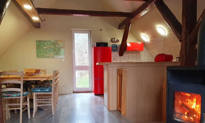Elbingerode Apartment | Große FW mit Kamin, Terrasse und Drei Schlafzimmern - Ferienhaus Am Bach - mit 2 Ferienwohnungen