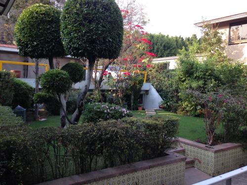 Bosques de las Lomas Apartment | Grupo Kings Suites - Bosque de Duraznos 72