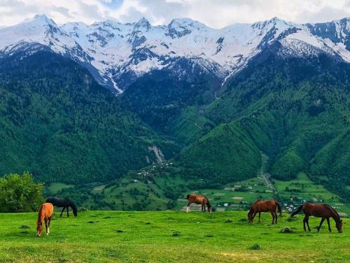 Mestia House | Guesthouse in Lankhvri