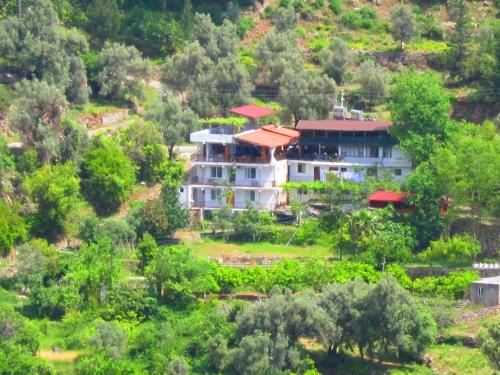 Faralya Cabin | Gul Pension