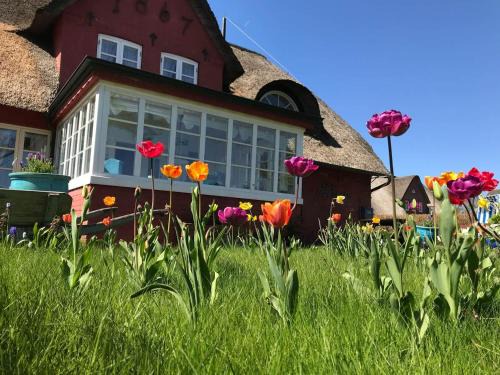 Suddorf Apartment | Hüs Sanskiin Ferienwohnung *Driiwholt*