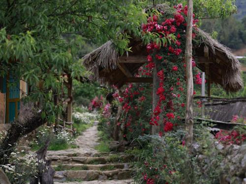 Ma Cha Cabin | H'mong Cổ Trấn Sapa Homestay & Restaurant