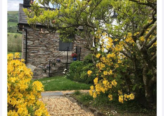 Llandrillo Bed & Breakfast | Hares Hideaway at Coed Moelfa