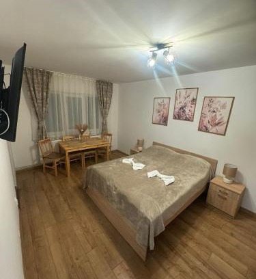 Sfantu Gheorghe Apartment | Harmony Residence