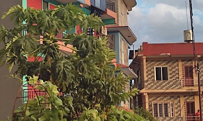 Pokhara House | Harry Guest House & Restaurant