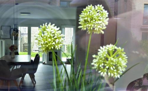 Dangast House | Haus AnnaDüne, Am Alten Deich 15b