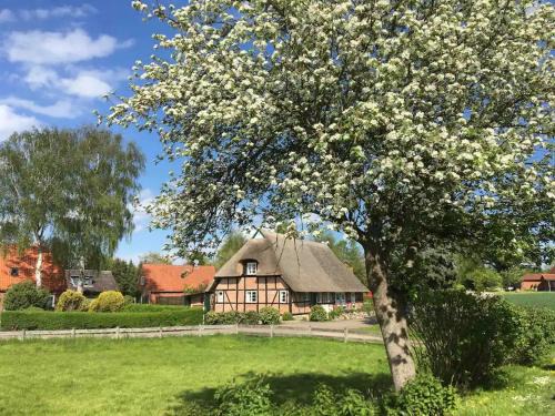 Schmiedendorf House | Haus Ruhe unter Reet