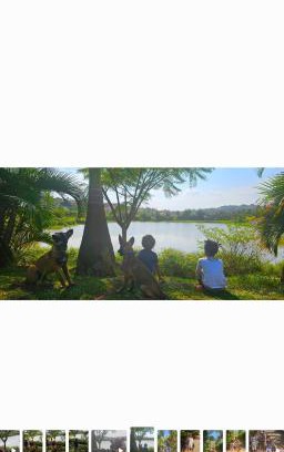 Kireka House | Hidden Gem homes