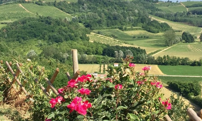 Castelnuovo Belbo Villa | Hillside Villa with Fantastic Countryside Views Nizza Monferrato Region