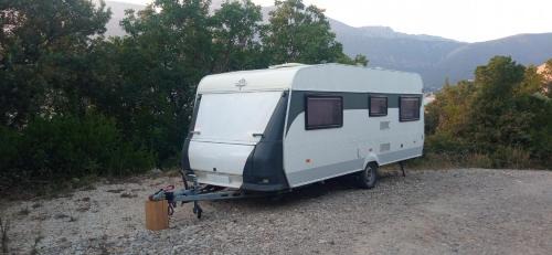 Rose Other | Hobby camp