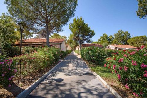 Piombino House | Holiday Homes in Piombino - Toskana 42359