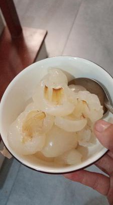 Mang Yang Hotel | Homestay Việt Anh