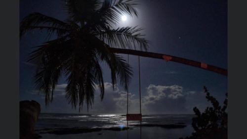Puerto Viejo de Talamanca Hotel | Hotel Casa Vito Beachfront
