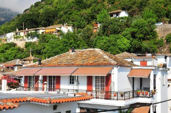 Panagia Hotel | Hotel Elvetia