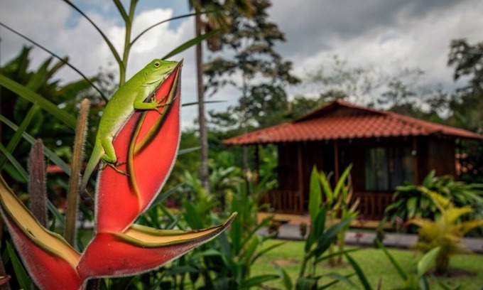 La Fortuna Cabin | Hotel Rancho Cerro Azul
