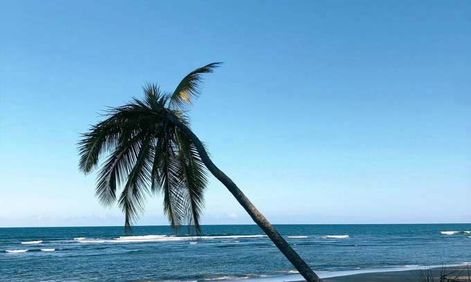 Marau House | House on the beach - Península de Maraú - Bahia