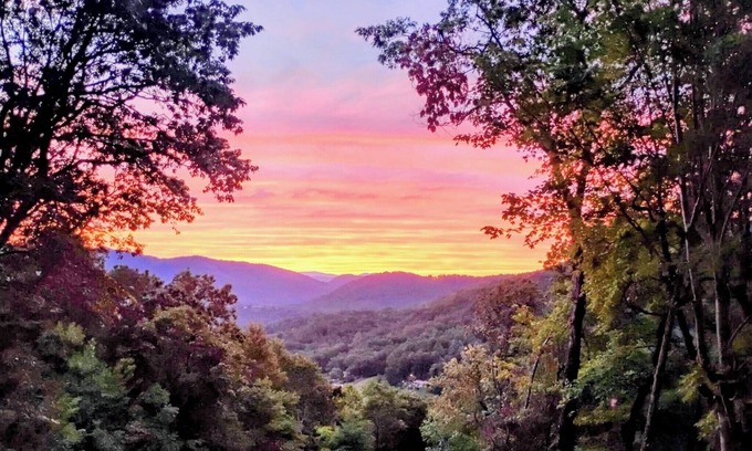 Screamer Mountain Cabin | Hummingbirds Haven w/Heavenly Mountain Views Dog Friendly!