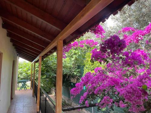 Agii Apostoli House | Ideal Cottage Holidays-Ιδανικές Εξοχικές Διακοπές