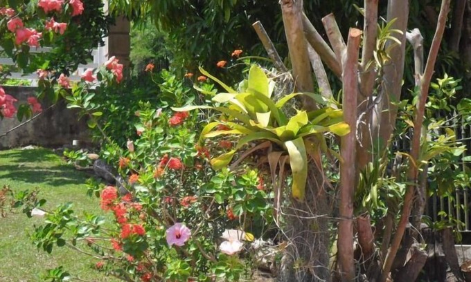 Ocho Rios House | Idilo Escape