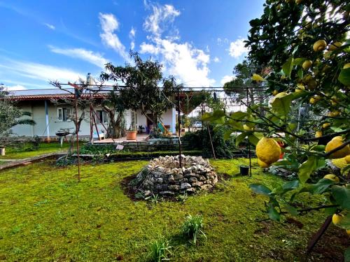 Manfio House | Il Giardino di Bea - Accogliente villa all'aperto