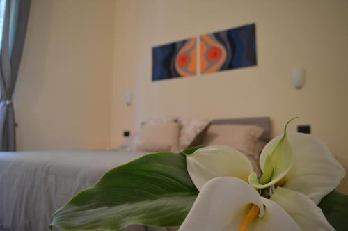 Sorrento Bed & Breakfast | Il Rivolo