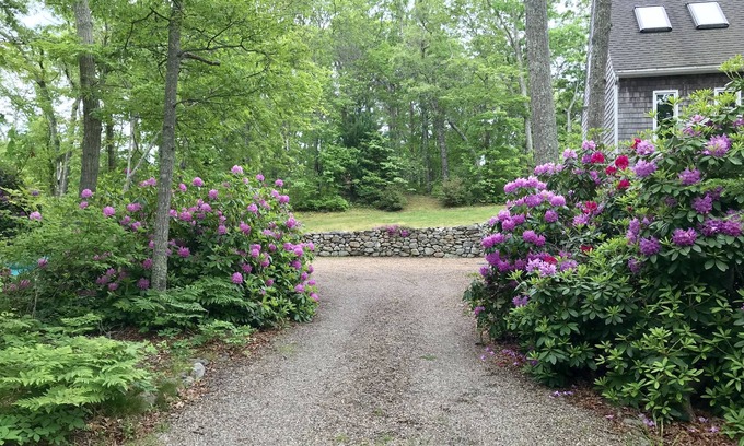 Vineyard Haven House | In the Woods/Walk to Town: Shared house w/1 other guest room