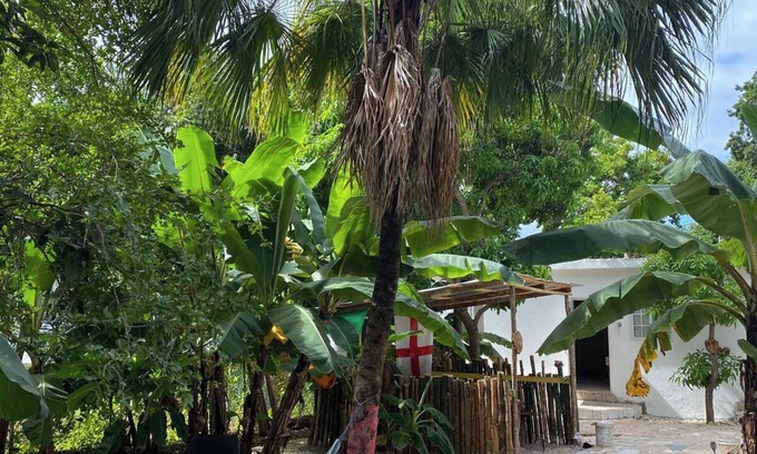 Mango Walk Hostel | Inez Roots Hostel