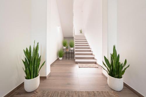 Castri di Lecce House | Ingrosso Suites in Salento