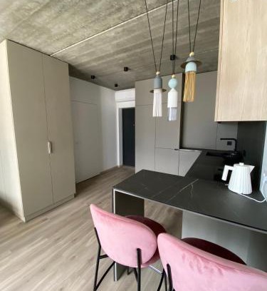 Vilnius city municipality Apartment | J. Ralio apartamentai (monkey)