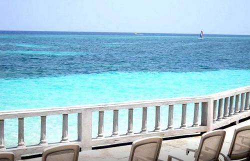 White House House | Jamrock Secret Retreat