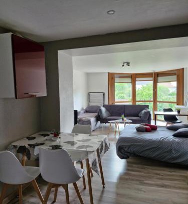 Chantraine Apartment | Joli studio une pièce 15min à pied centre dEpinal 4 personnes grâce au canapé lit, parking privé gratuit et parking extérieur gratuit Machine à laver TV wifi machine à café linge de lit et serviettes fournis