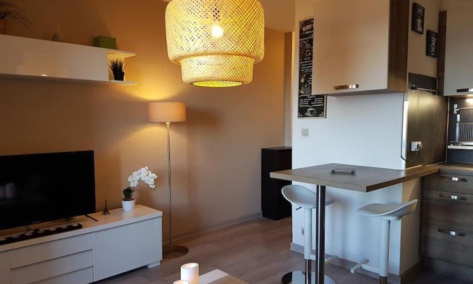 Evian-les-Bains Apartment | Jolie F2 meublé tout confort VUE LAC