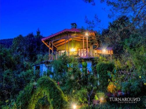 Pangot Cabin | Jungle Lore Birding Lodge