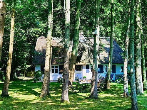 Rabenkirchen-Faulueck House | Küstenwäldchen