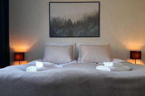 Iisalmi Apartment | Kaksio lähellä keskustaa