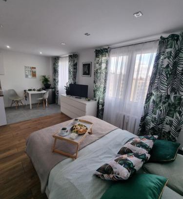 Czestochowa Apartment | Kawalerka na Rakowie obok estakady