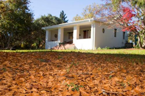 Hogsback Apartment | Khayalethu Cottage