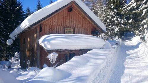 Pichl-Kainisch House | Knödl-Alm Waldhäusl