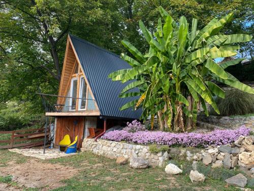 Central Serbia House | Kuca za odmor Lola