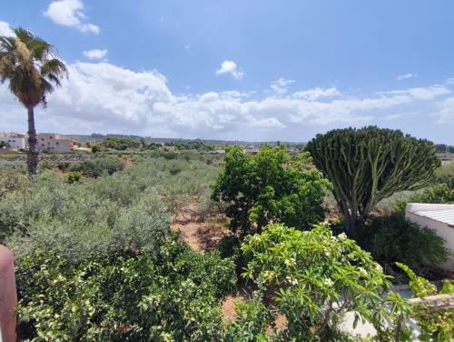 Marsala House | l'Araucaria casa vacanze