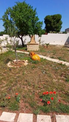 Porto Cesareo Bed & Breakfast | L'Arco sul Mare