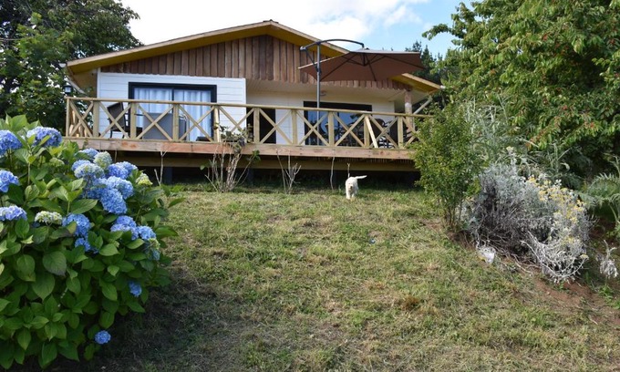Llifen House | La Casita Amarilla