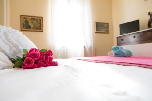 Massa Bed & Breakfast | La Querciolaia B&B