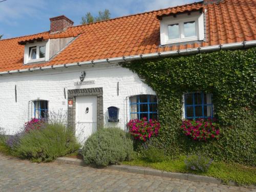 Ronse House | La Quitapenas