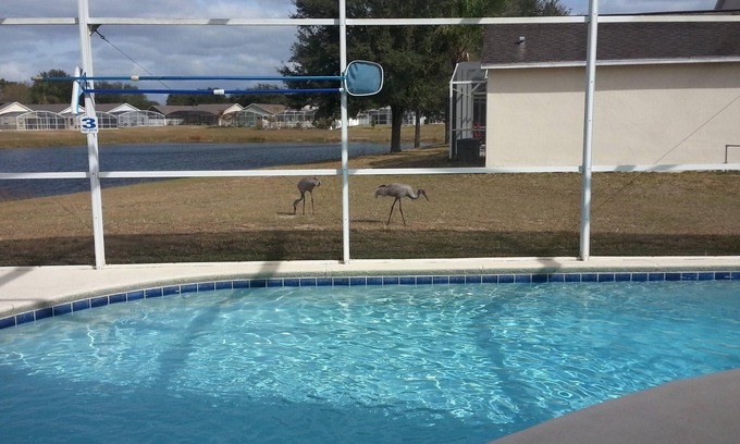 Clear Creek Villa | Lake view Home/Private Pool/Free WiFi near Disney World