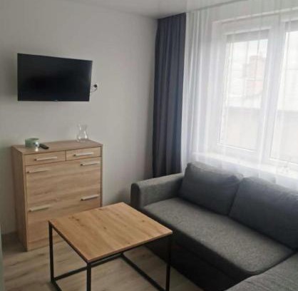 Panevezys Apartment | Lauros & R apartamentai