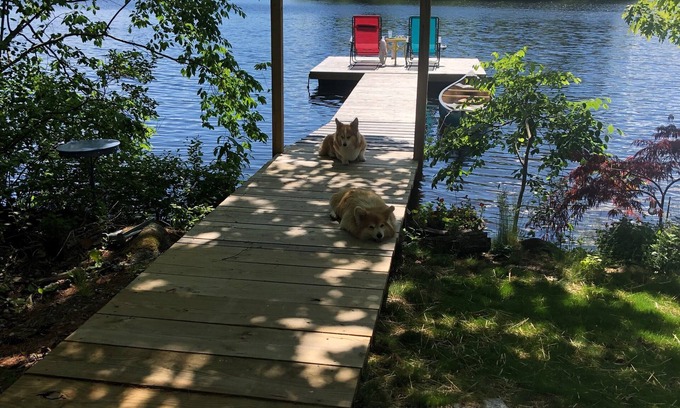 Hope Cottage | Lazy Days - Sunny Dock - Great Swimming & Fishing - close to Camden