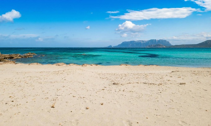 Pittulongu Apartment | Le Dimore di Nettuno 3 With Pool