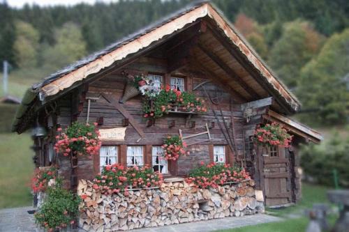 Villars-sur-Ollon Ski Chalet | Le P'ti Tzi-Mé